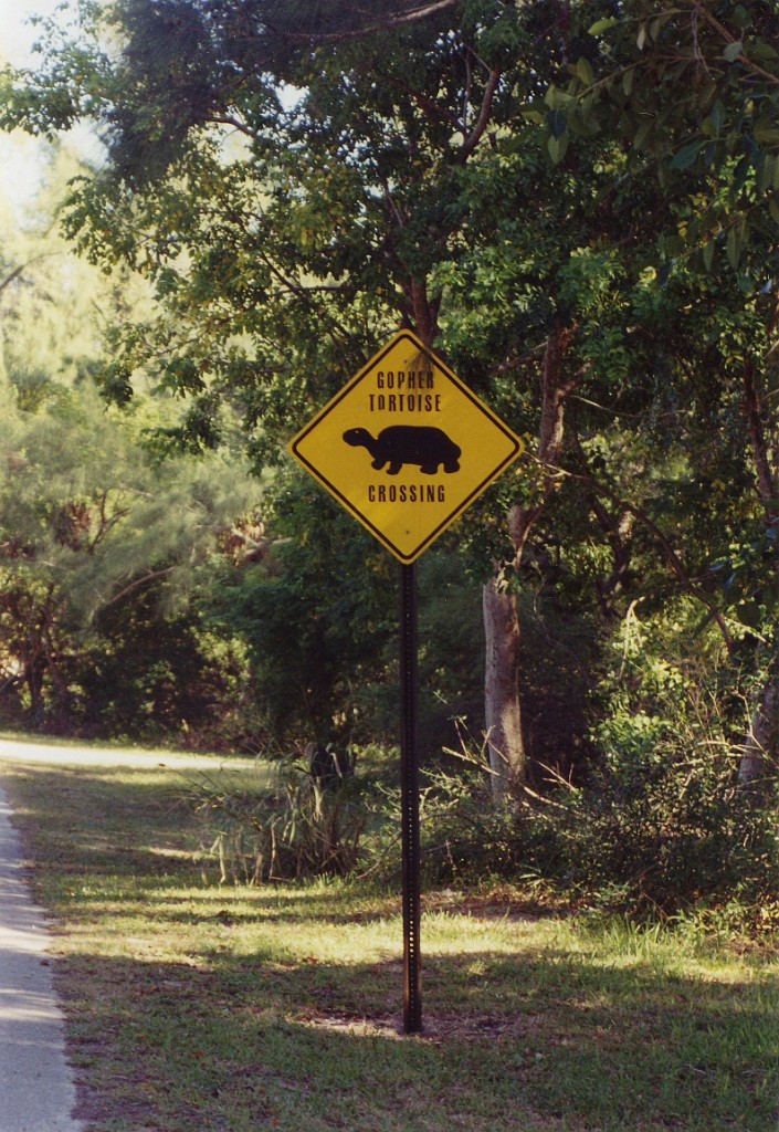 sanibel_Island-Nov98-013