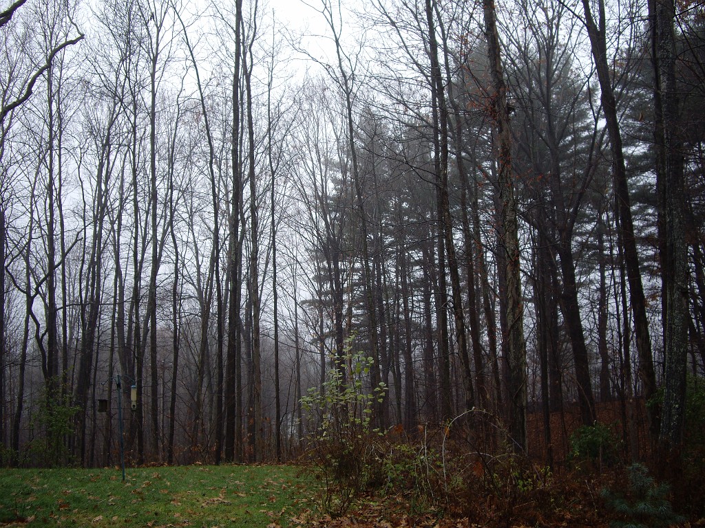 thanksgiving2007-6254