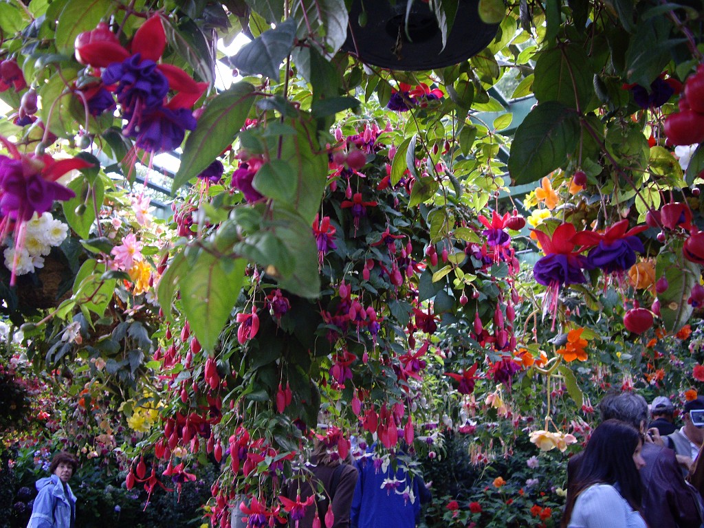 Northwest2007-Butchart-0839