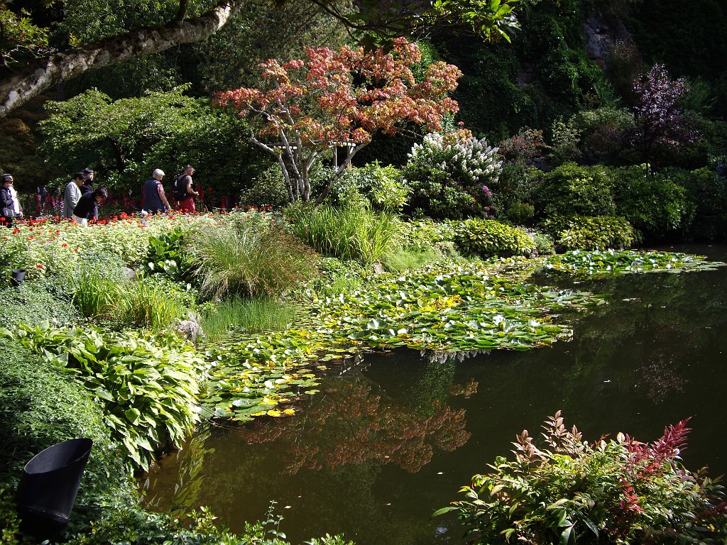Northwest2007-Butchart-0850