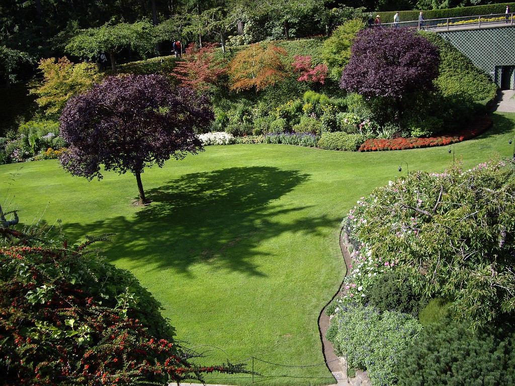 Northwest2007-Butchart-0853