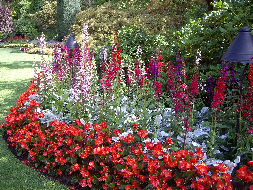 Northwest2007-Butchart-0857