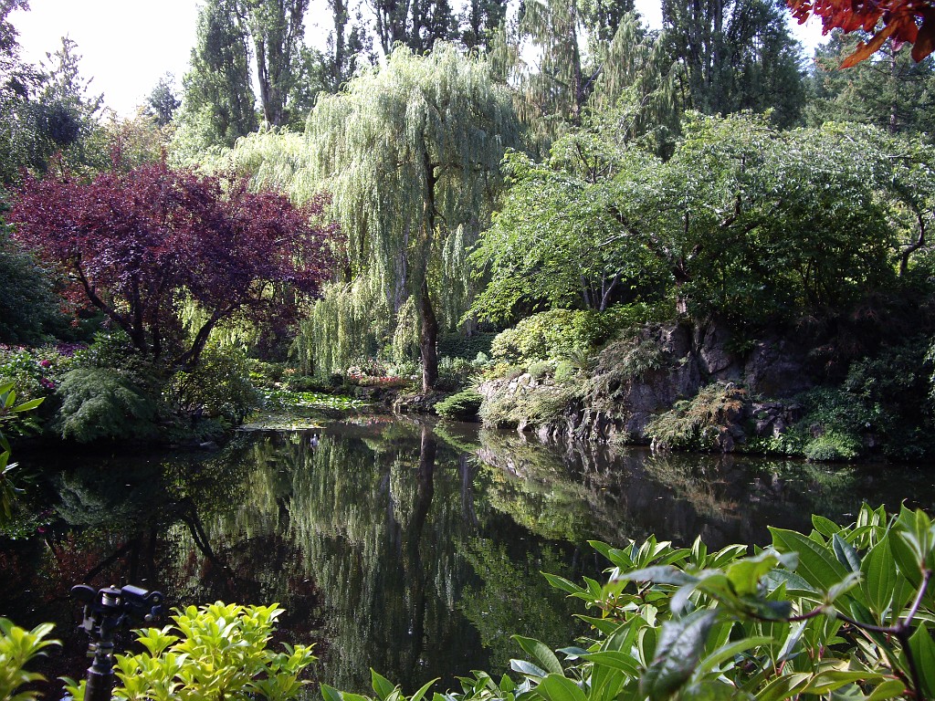Northwest2007-Butchart-0859