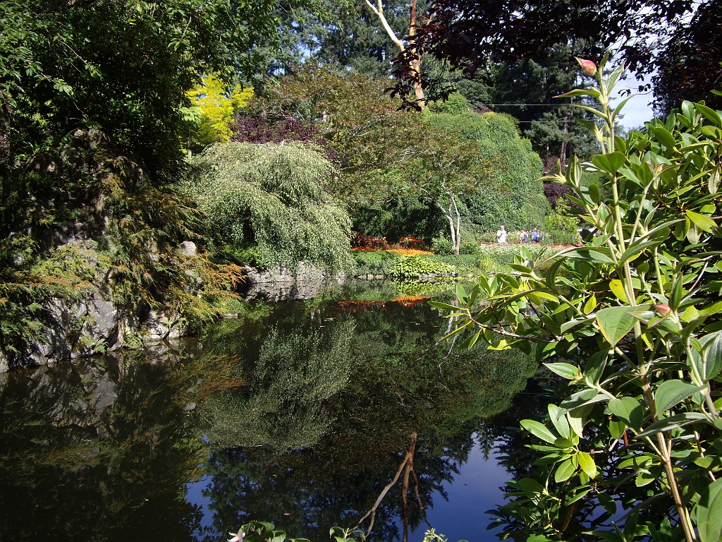 Northwest2007-Butchart-0861