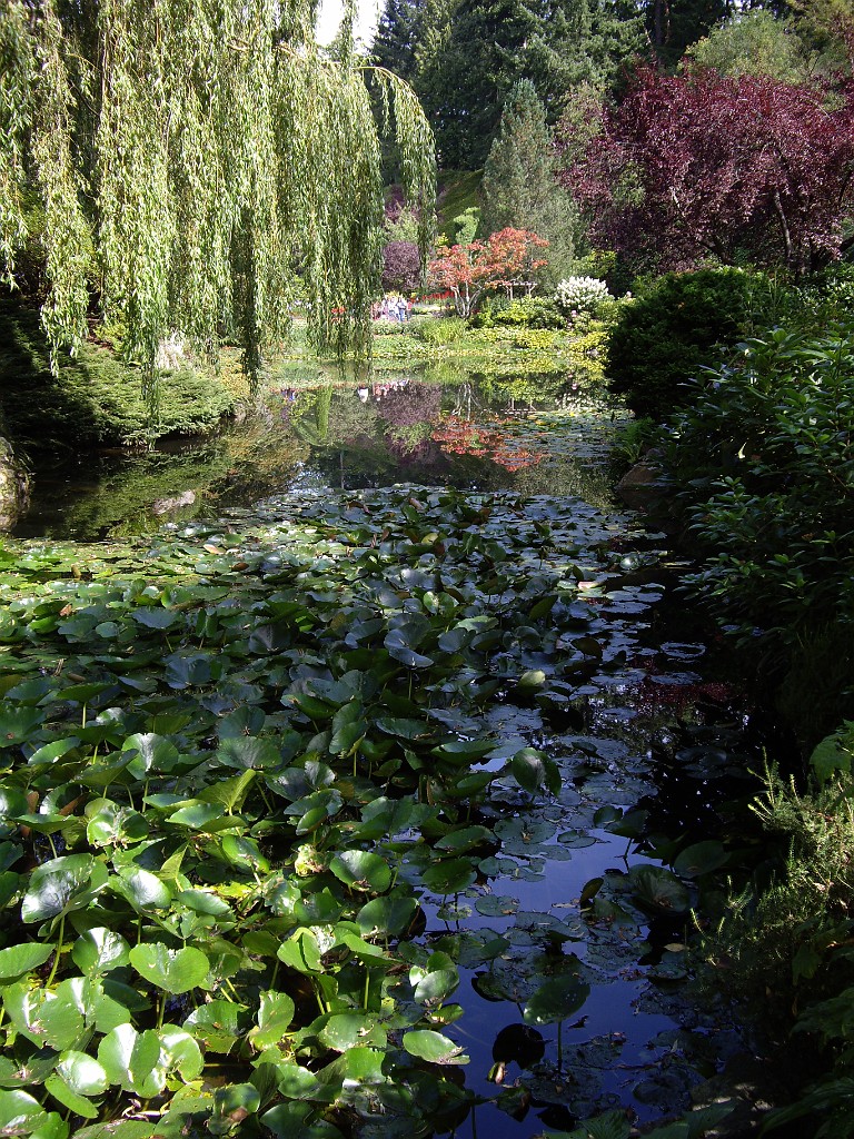 Northwest2007-Butchart-0863