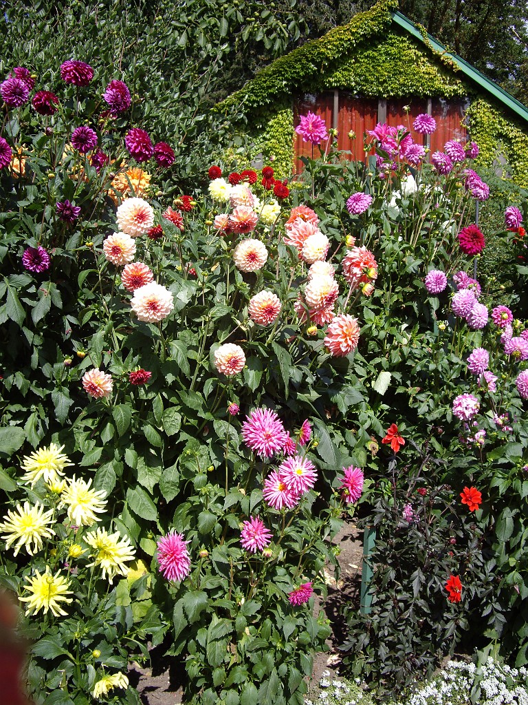 Northwest2007-Butchart-0870