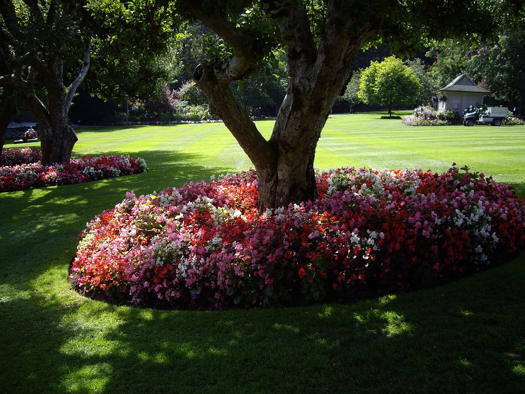 Northwest2007-Butchart-0875