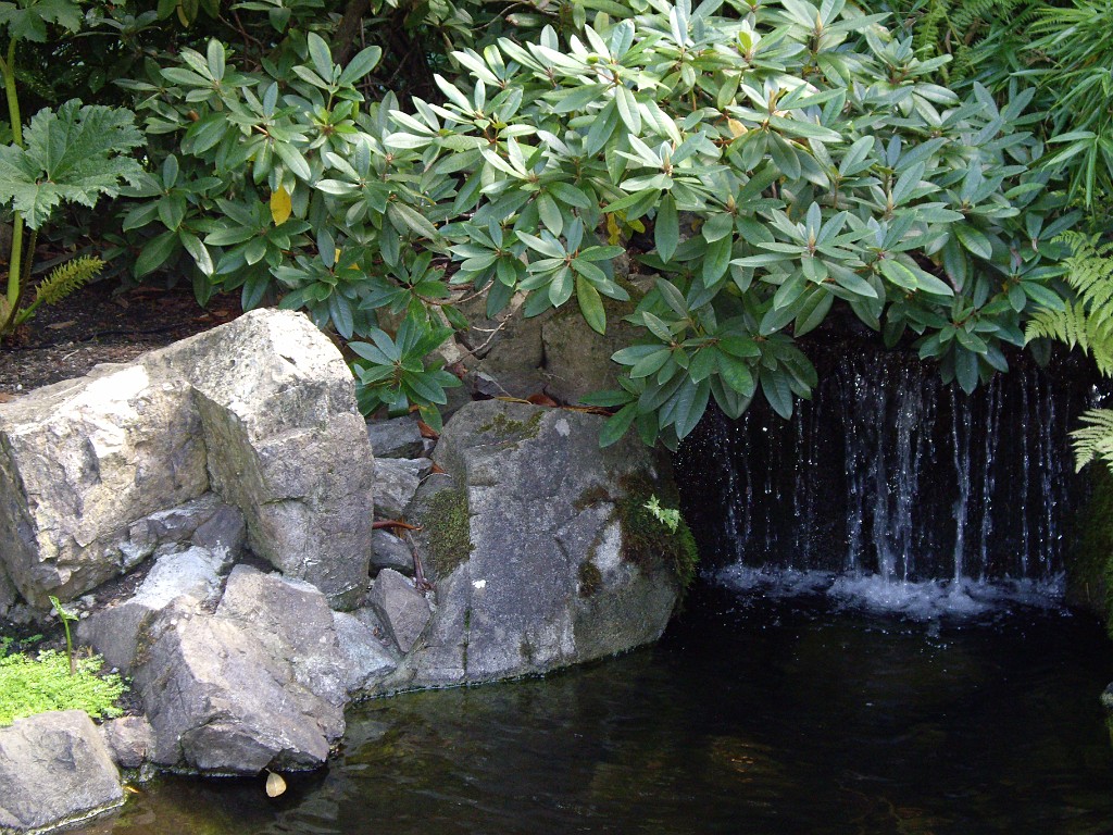 Northwest2007-Butchart-0901