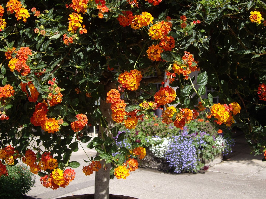 Northwest2007-Butchart-0910