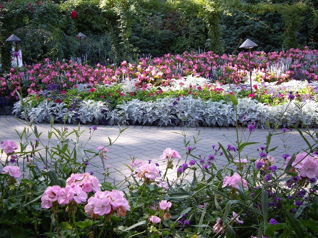 Northwest2007-Butchart-0913