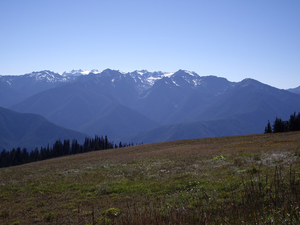 Northwest2007-Olympic-5398