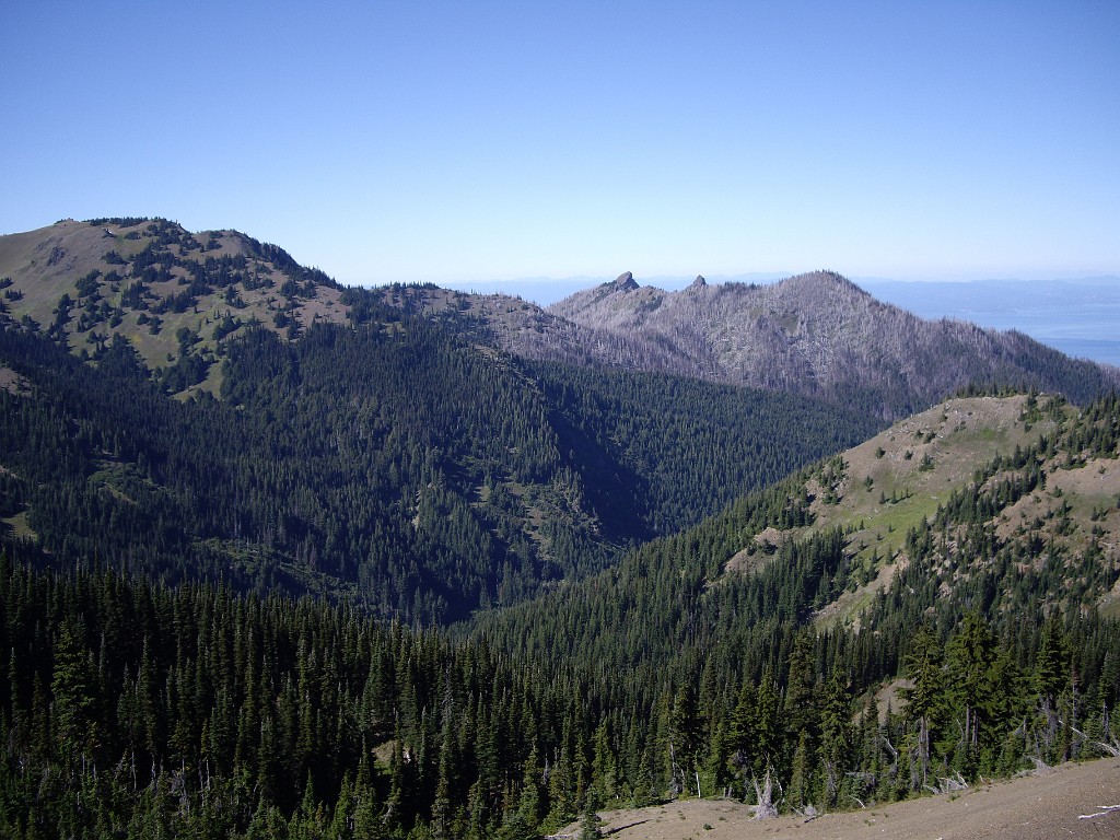 Northwest2007-Olympic-5399