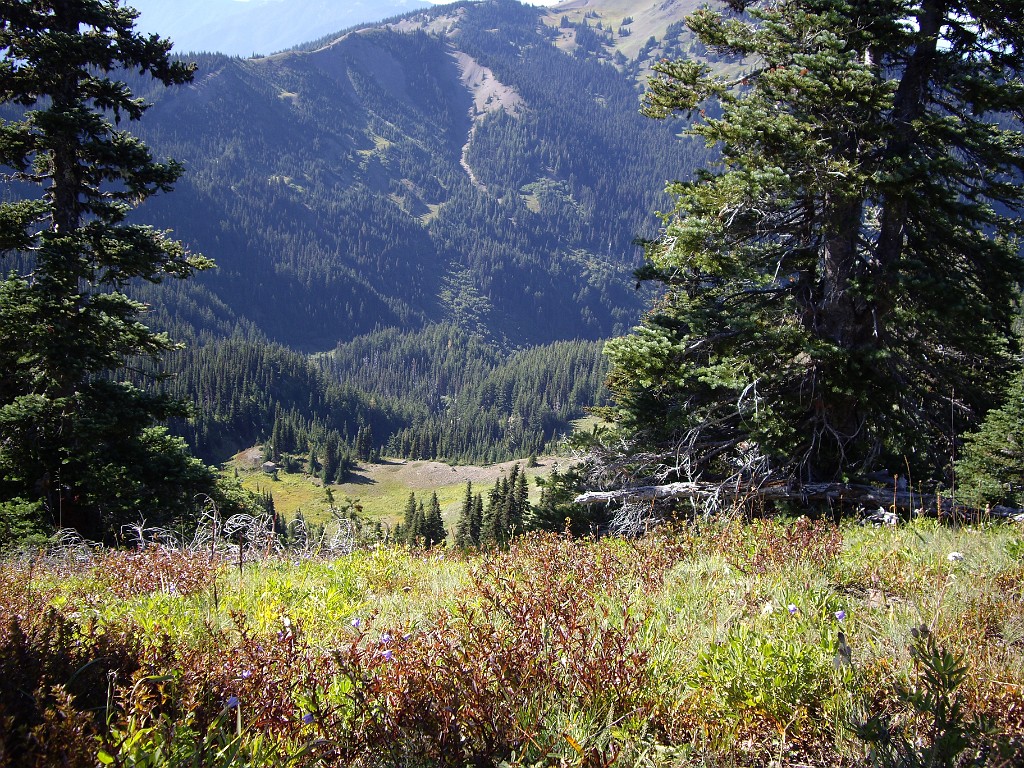 Northwest2007-Olympic-5407