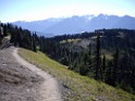 Northwest2007-Olympic-5408 Traversing the ridge