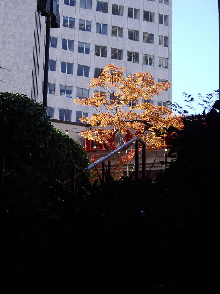 Northwest2007-Seattle-5471