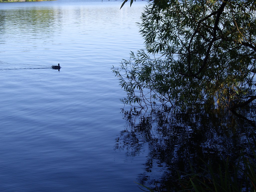 Northwest2007-Seattle-5554