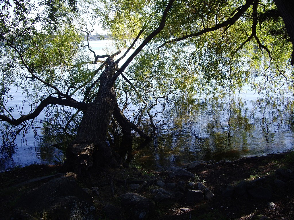 Northwest2007-Seattle-5556