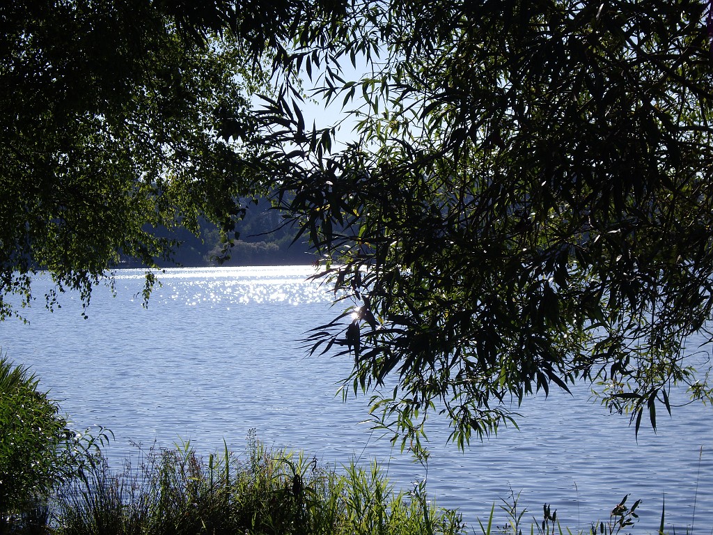 Northwest2007-Seattle-5559