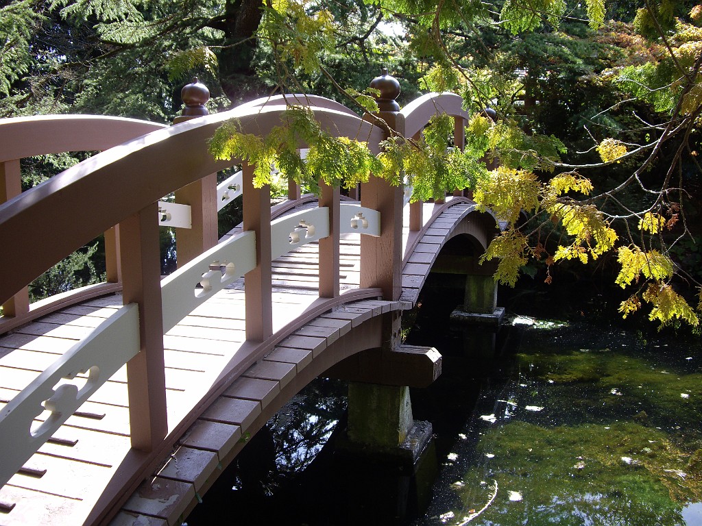 Northwest2007-Victoria-0992