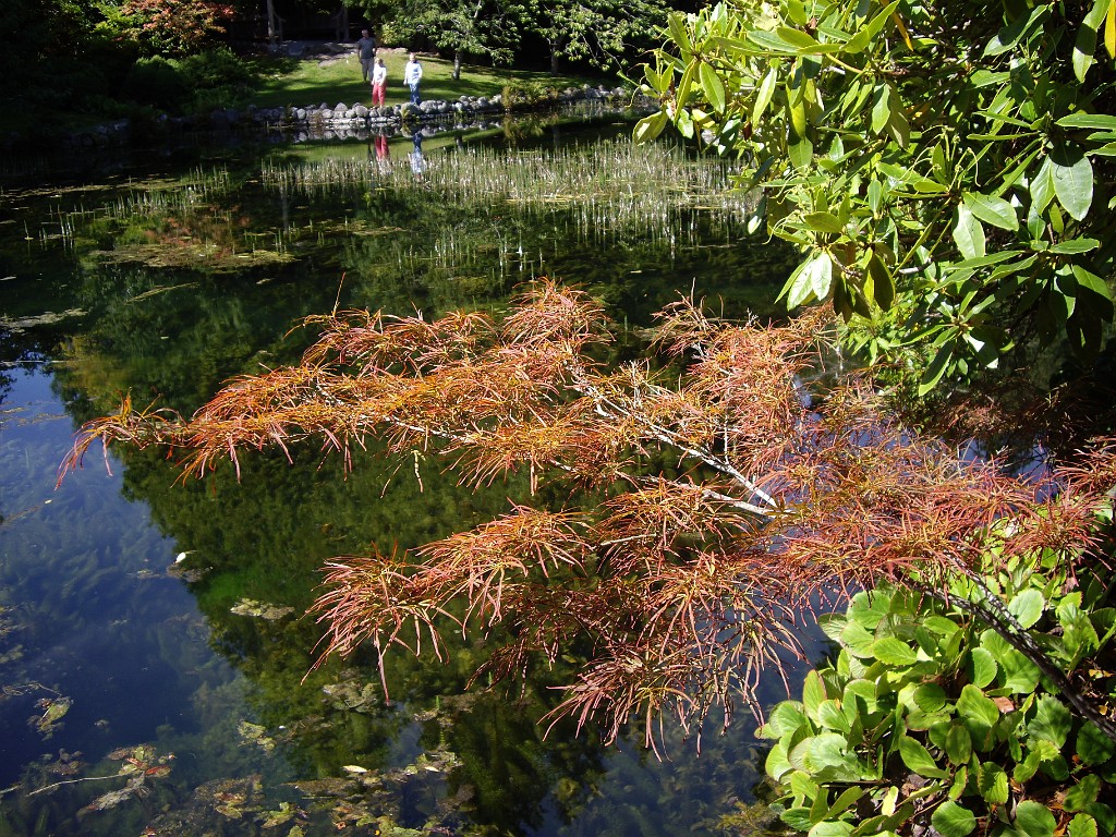 Northwest2007-Victoria-0997