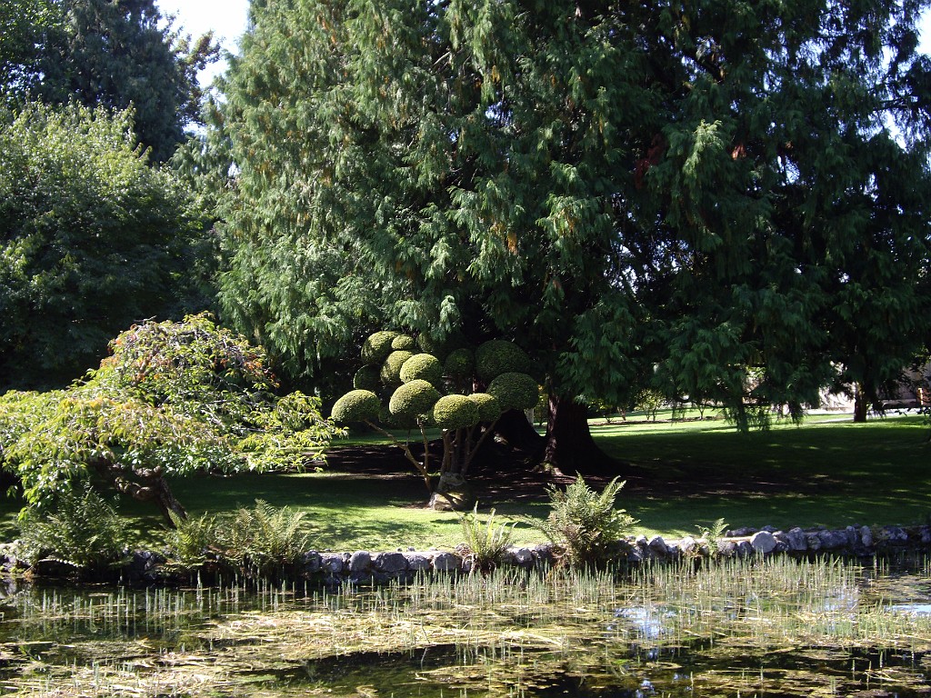 Northwest2007-Victoria-0998