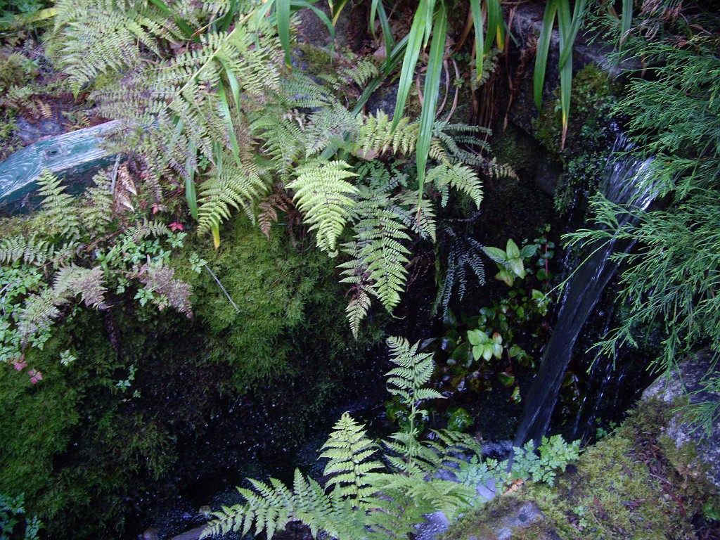 Northwest2007-Victoria-1002