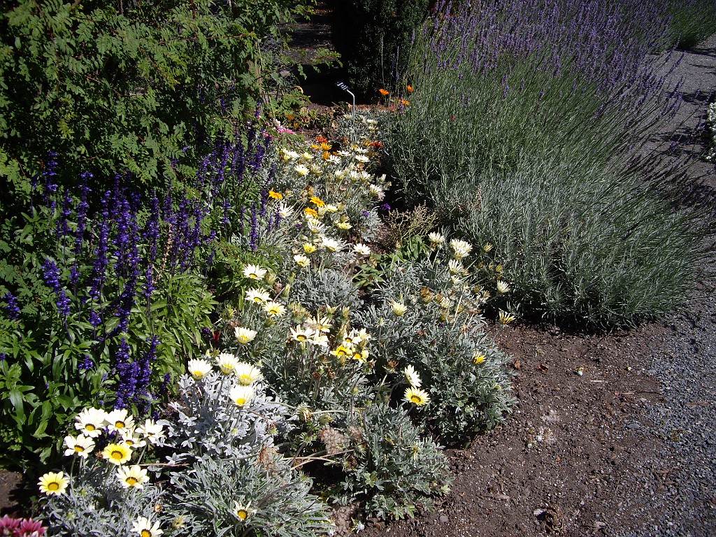 Northwest2007-Victoria-1005