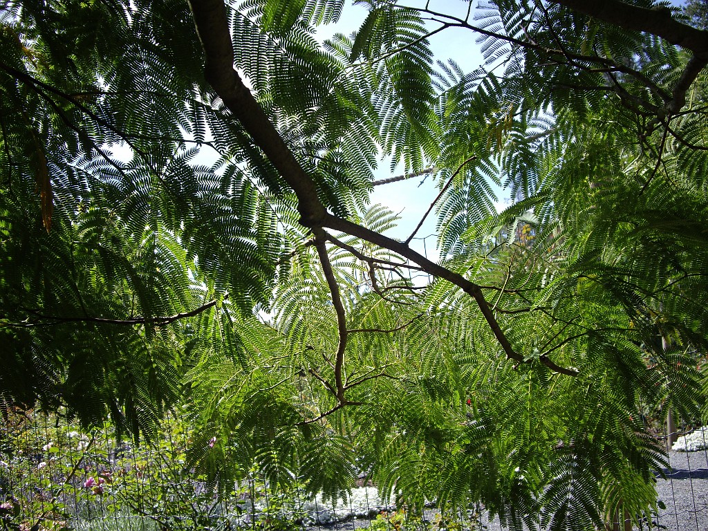 Northwest2007-Victoria-1007