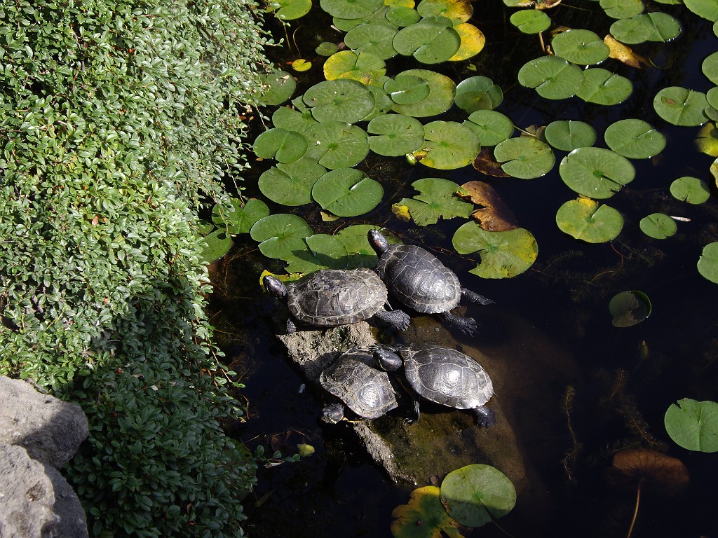 Northwest2007-Vancouver-0733