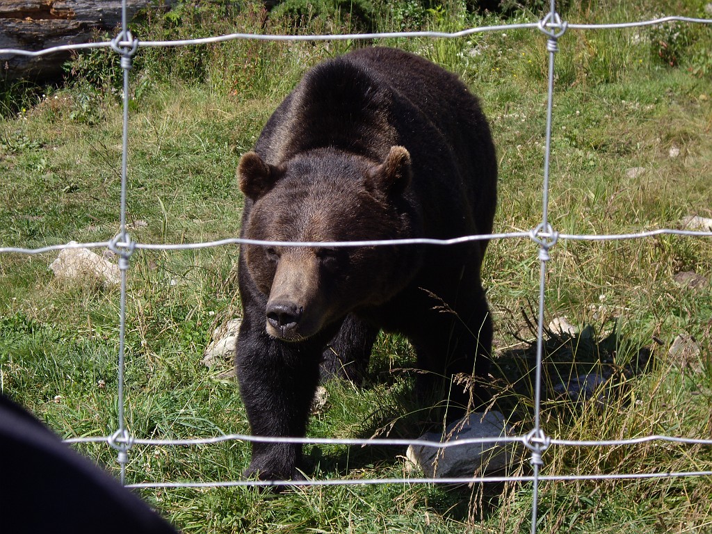 Northwest2007-Vancouver-0814