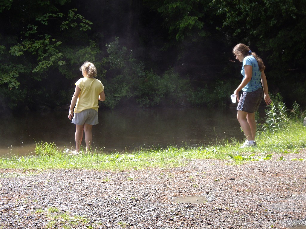 cherry-plain-2007-0288