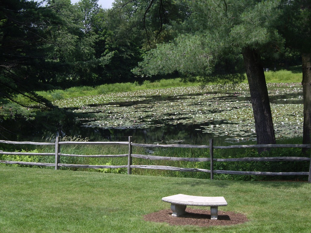 summer2008-Clarksburg-6773