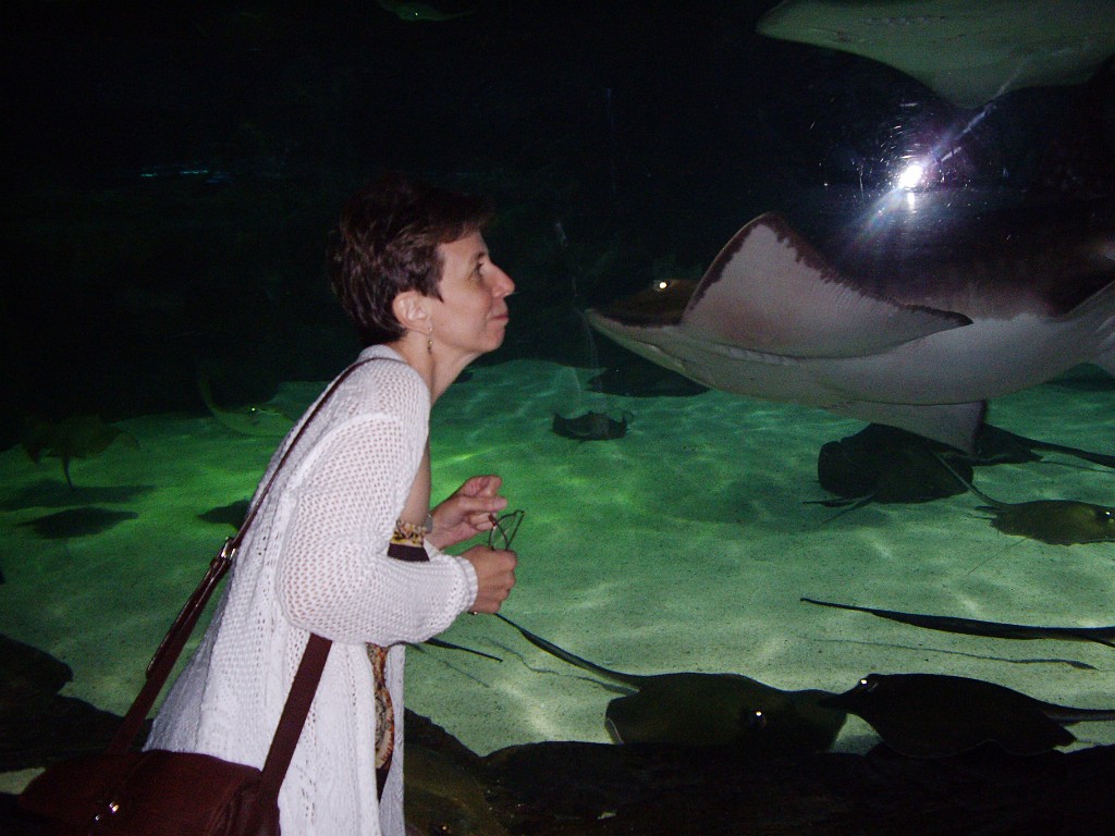 myrtleBeach2009-9288