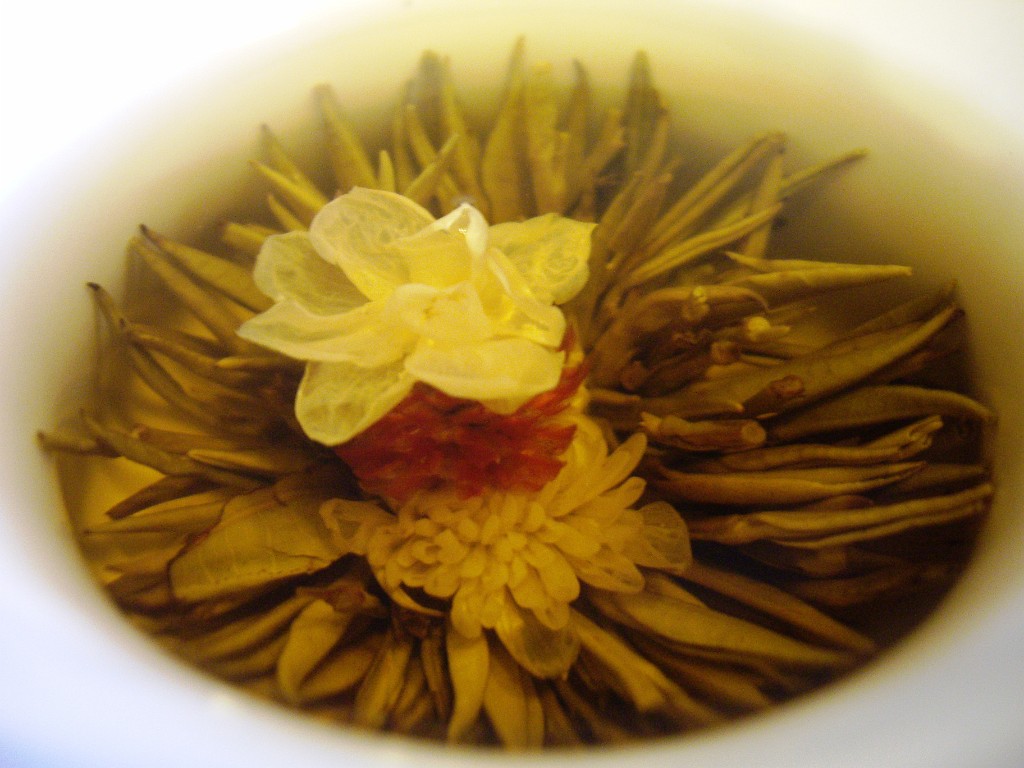 spring2009-HuntingtonBeach-7891