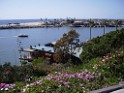 spring2009-HuntingtonBeach-7897 Corona Del Mar at Newport Beach, CA:
 good choice, Ilya ;)
