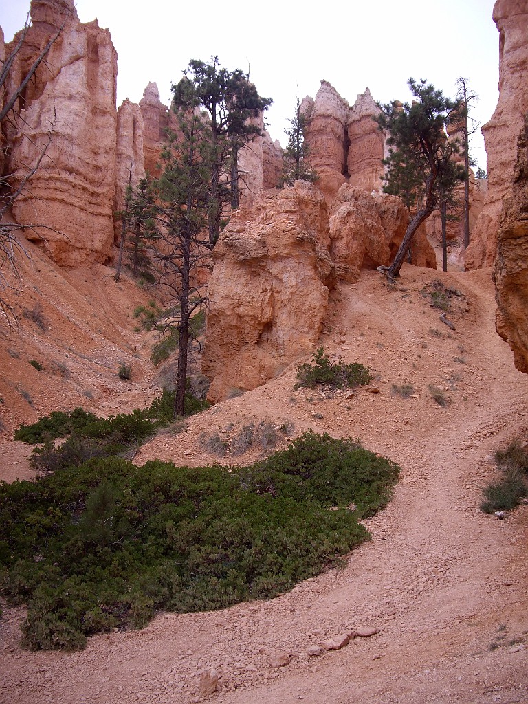 UT2009-Bryce-8438