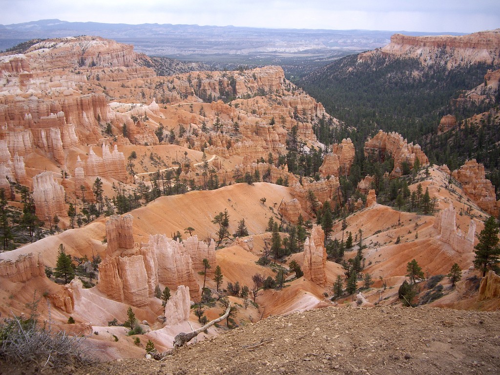 UT2009-Bryce-8454