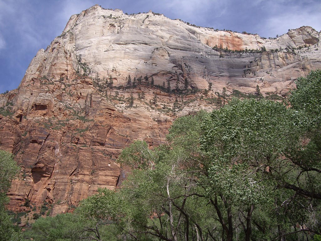 UT2009-Zion-8275