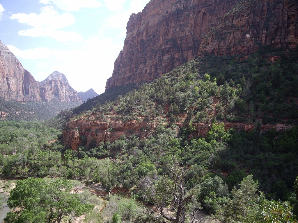 UT2009-Zion-8287