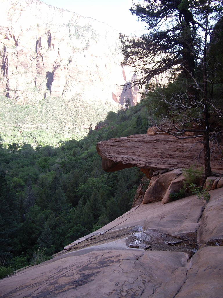 UT2009-Zion-8290
