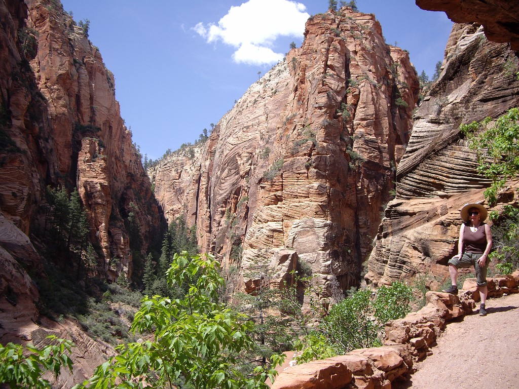 UT2009-Zion-8334