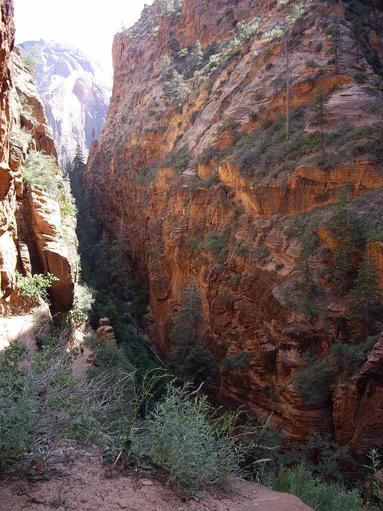 UT2009-Zion-8357