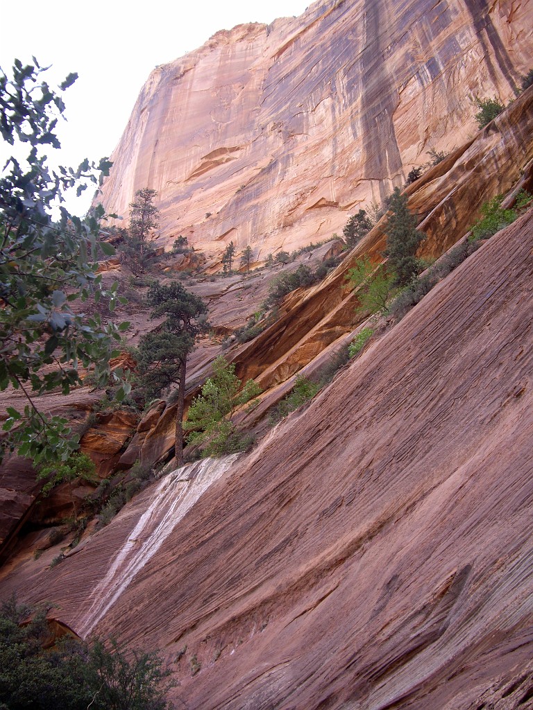 UT2009-Zion-8369