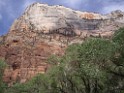 UT2009-Zion-8275 