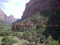 UT2009-Zion-8287 
