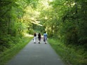 summer2010-Niskayuna-6190006 