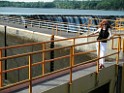 summer2010-Niskayuna-6190020 