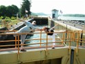 summer2010-Niskayuna-6190024 