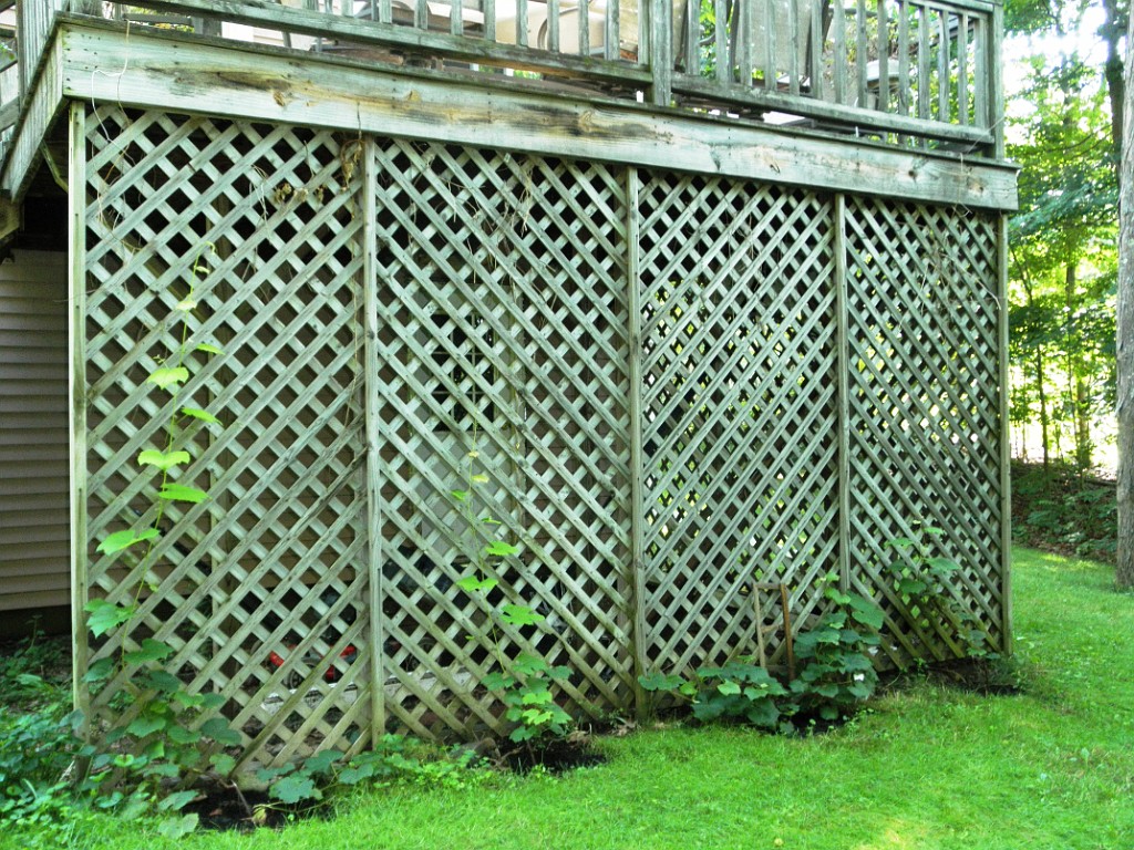 summer2010-7150086