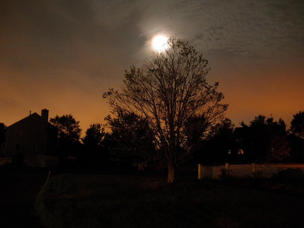 summer2010-7240148